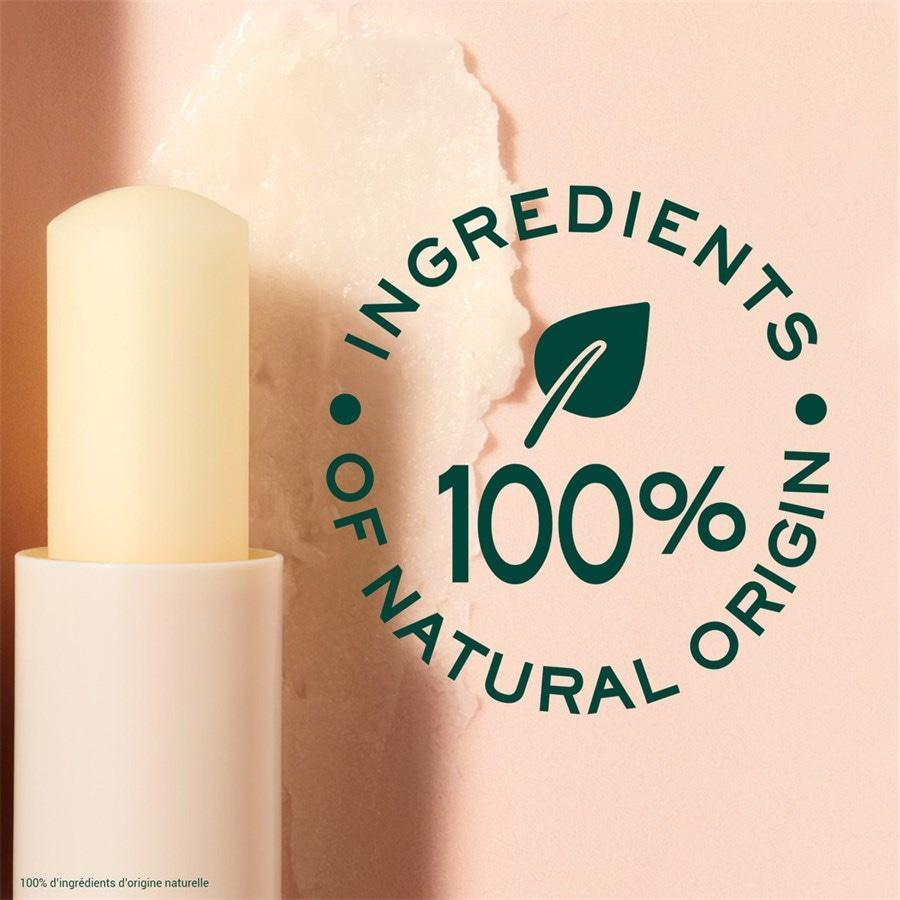 Rêve de Miel Lip Moisturizing Stick von Nuxe Kostenloser Versand international