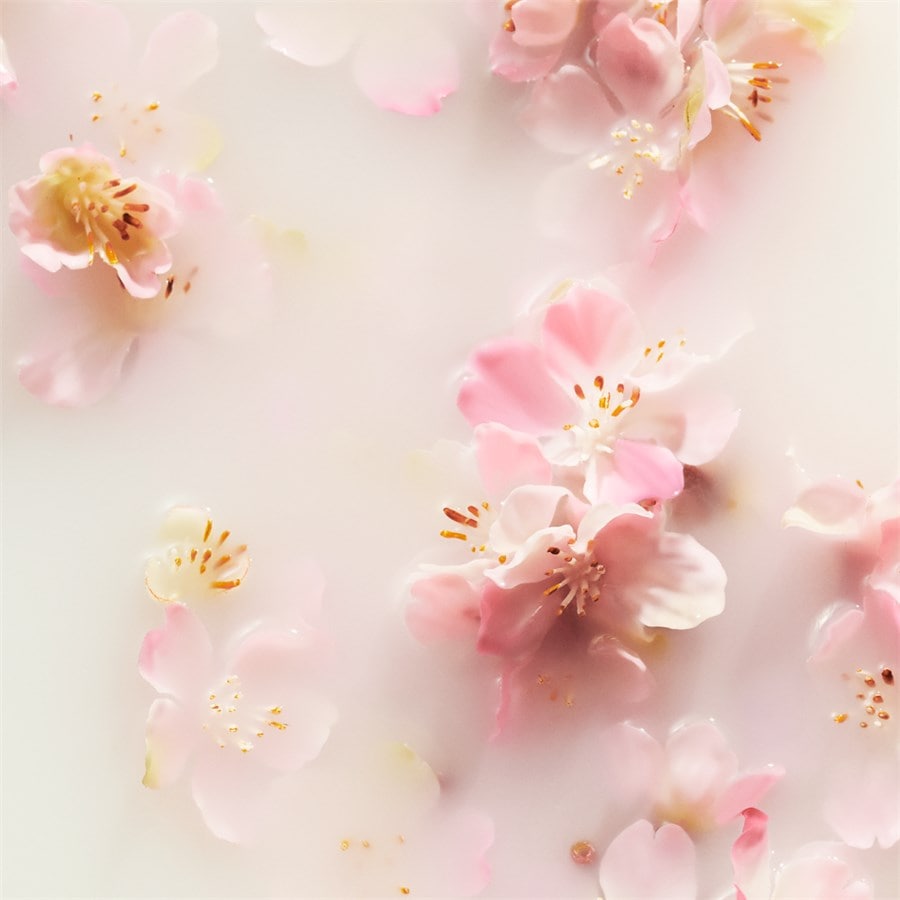 The Ritual Of Sakura Foaming Shower Gel von RITUALS Super Sparpreis