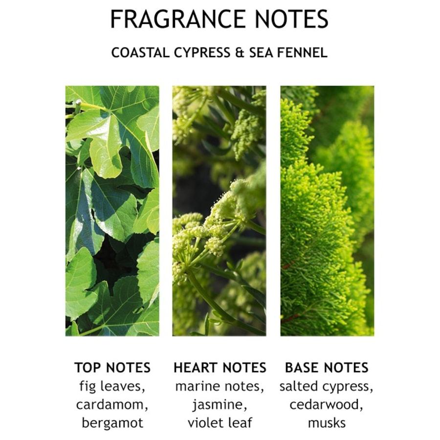 Coastal Cypress & Sea Fennel Fine Liquid Hand Wash von Molton Brown Cyber Monday