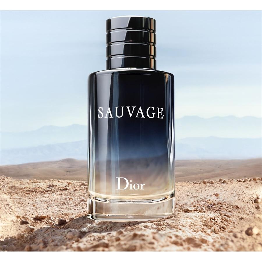 DIOR Sauvage Eau de Toilette Spray Tiefpreis