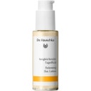 eccoverde Dr. Hauschka Ausgleichendes Tagesfluid 50 ml Saisonschlussverkauf