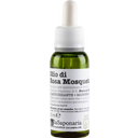 eccoverde La Saponaria Wildrosenöl 30 ml Online Outlet