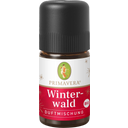 eccoverde PRIMAVERA Winterwald Duftmischung bio 5 ml Online