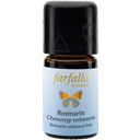 eccoverde farfalla Rosmarin Chemotyp Verbenon Grand Cru 5 ml Meist gekauft