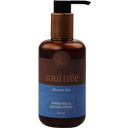 eccoverde soultree Aamla & Vetiver with Purifying Neem Hair & Body Wash 250 ml Cyber Monday