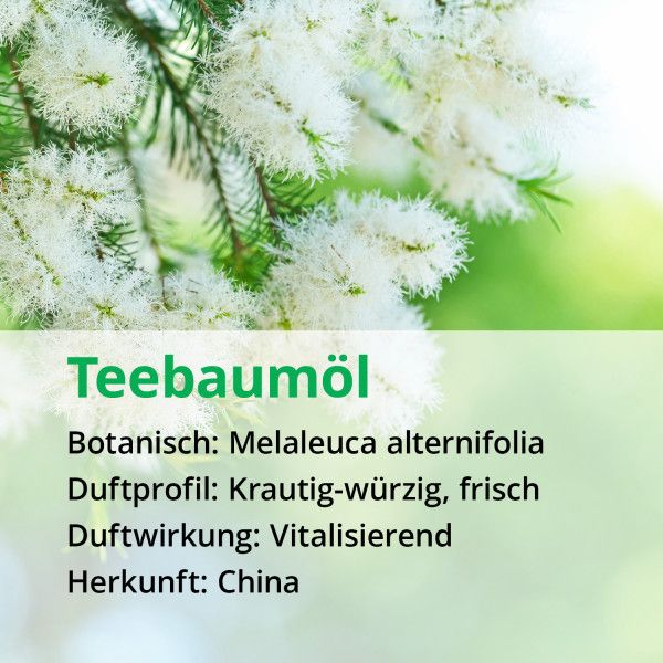 bodyguardapotheke TEEBAUM ÖL NATURREIN ätherisch Rabatt