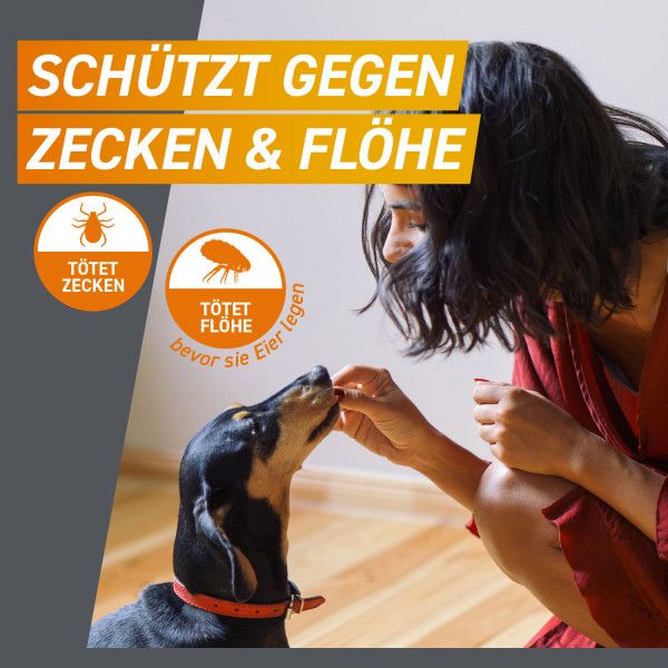 bodyguardapotheke FRONTPRO 28 mg Kautabletten f.Hunde >4-10 kg Großer Ausverkauf