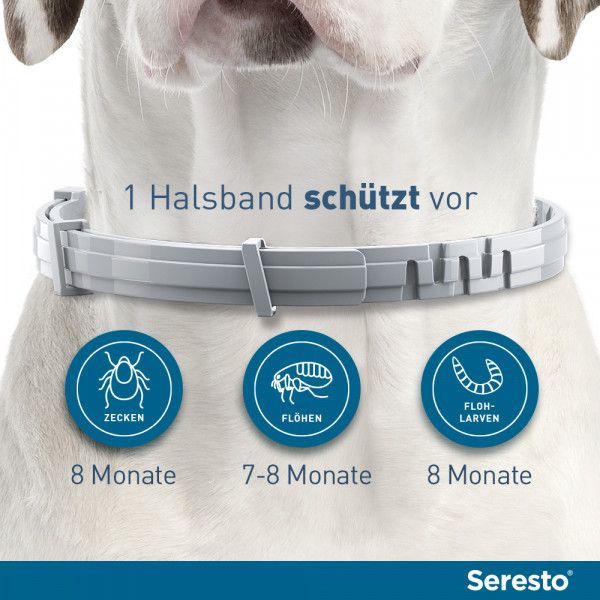 bodyguardapotheke SERESTO Halsband für kleine Hunde Flash Sale