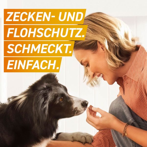 bodyguardapotheke FRONTPRO 11 mg Kautabletten f.Hunde 2-4 kg Exklusivangebot