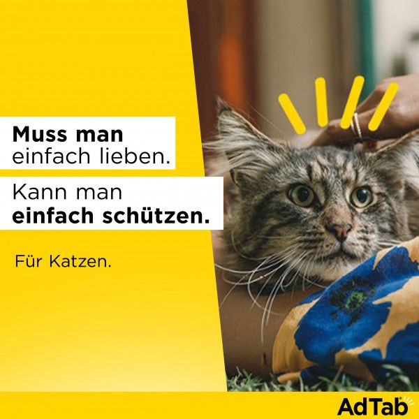 bodyguardapotheke ADTAB 48 mg Kautabletten für Katzen >2-8 kg Preisnachlass