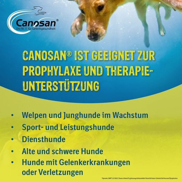 bodyguardapotheke CANOSAN Pellets bei Gelenkproblemen Hund mit Grünlippmuschel Extrakt Gonex Lagerräumung