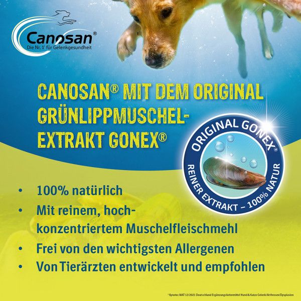 bodyguardapotheke CANOSAN Pellets bei Gelenkproblemen Hund mit Grünlippmuschel Extrakt Gonex Lagerräumung