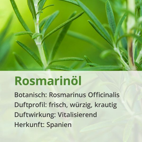 bodyguardapotheke ROSMARIN ÖL naturrein ätherisch Kostenloser Versand