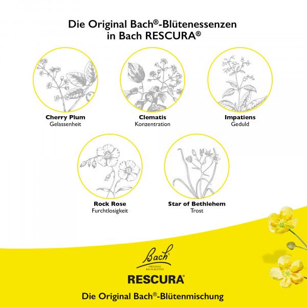 bodyguardapotheke Bach RESCURA® Tropfen mit Alkohol 10ml Versandkostenfrei