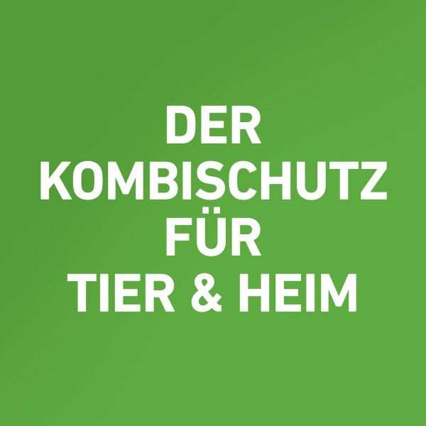 bodyguardapotheke FRONTLINE COMBO gegen Zecken Flöhe (Flöhe Eier Larven Puppen) für Katzen Zeitlich begrenztes Angebot