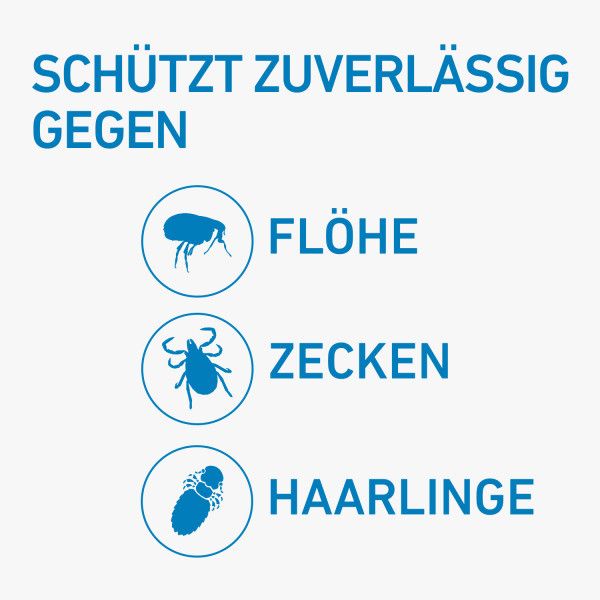 bodyguardapotheke FRONTLINE SPOT-ON gegen Zecken und Flöhe für Hunde L Exklusive Angebote