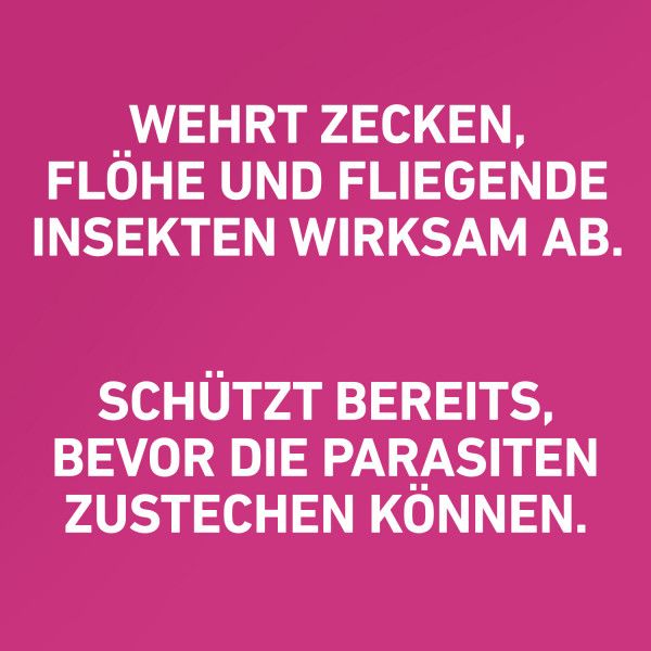 bodyguardapotheke FRONTLINE TRI-ACT gegen Zecken Flöhe und fliegende Insekten für Hunde XL Bestseller