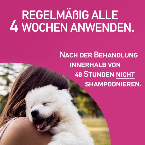 bodyguardapotheke FRONTLINE TRI-ACT gegen Zecken Flöhe und fliegende Insekten für Hunde XL Bestseller