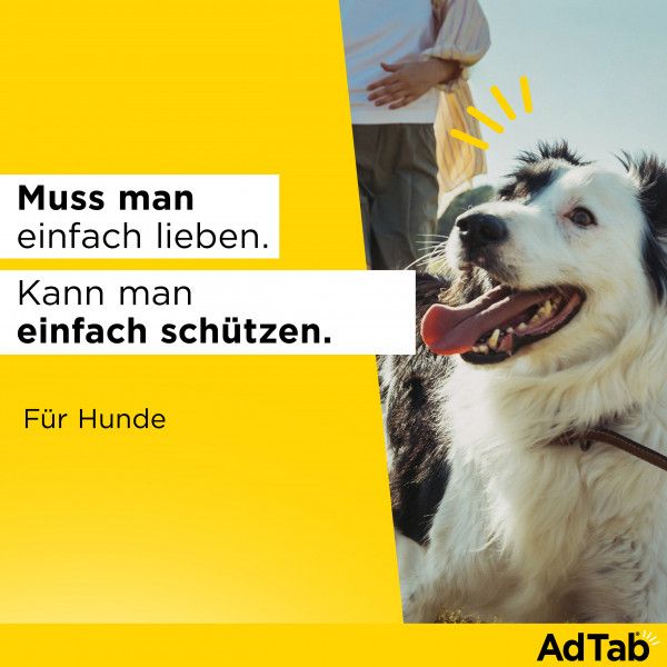 bodyguardapotheke ADTAB 56 mg Kautabletten für Hunde 1 3-2 5 kg Neueste Stile
