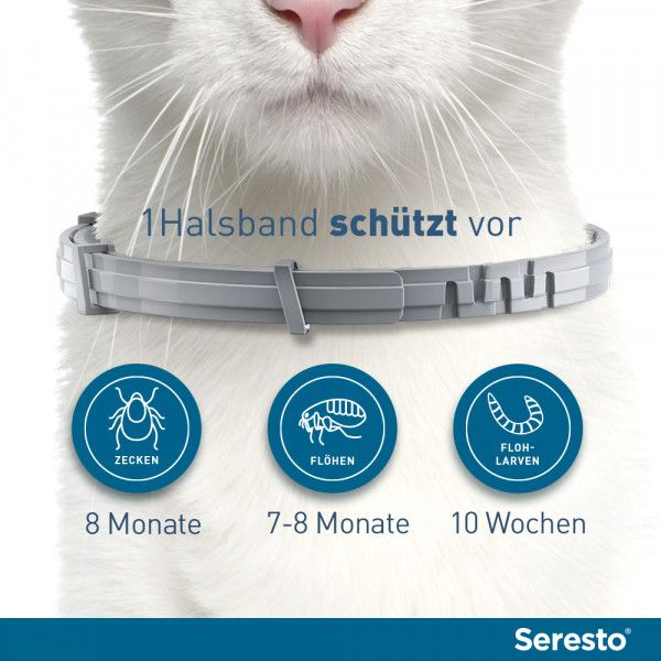 bodyguardapotheke SERESTO Halsband für Katzen Bis zu 65% Rabatt