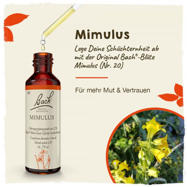 bodyguardapotheke Original Bachblüten Mimulus 20ml Fabrikladen