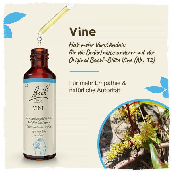 bodyguardapotheke Original Bachblüten Vine 20ml Top Angebot