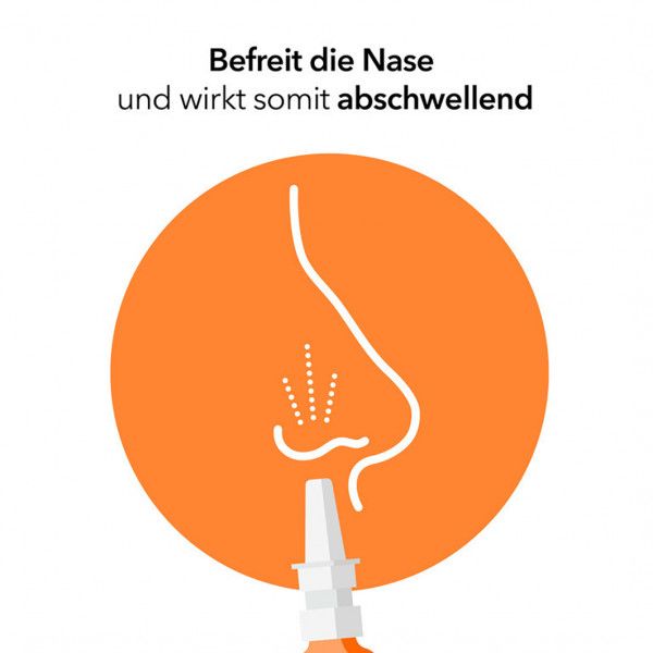 bodyguardapotheke NASENSPRAY-ratiopharm Erwachsene und Schulkinder konservierungsmittelfrei Fabrikladen