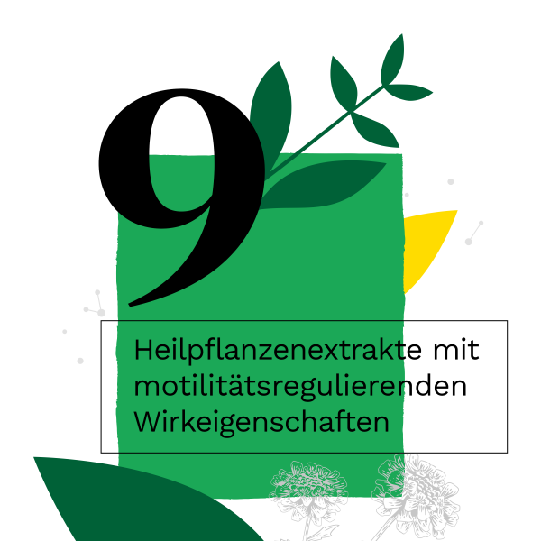 bodyguardapotheke IBEROGAST Classic Flüssigkeit zum Einnehmen bei funktionellen und motilitätsbedingten Magen-Darm-Beschwerden Begrenzt auf 3 Tage