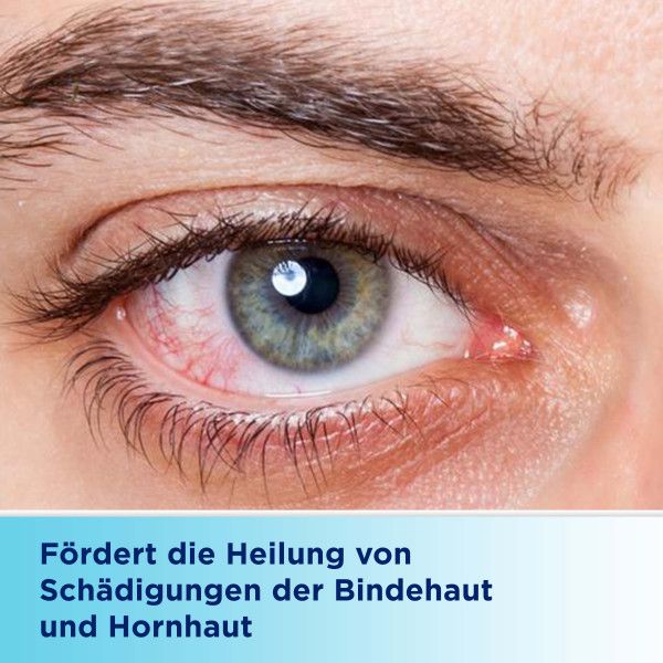 bodyguardapotheke BEPANTHEN Augen- und Nasensalbe Im Verkauf