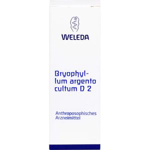 bodyguardapotheke BRYOPHYLLUM ARGENTO cultum D 2 Dilution Blitzangebot