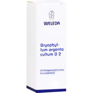 bodyguardapotheke BRYOPHYLLUM ARGENTO cultum D 2 Dilution Blitzangebot