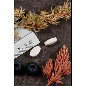 bodyguardapotheke BETAIN HCL+250 mg Tabletten Große Rabatte