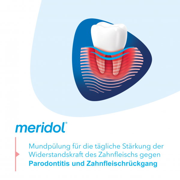 bodyguardapotheke MERIDOL Parodont-Expert Mundspülung Online Shopping