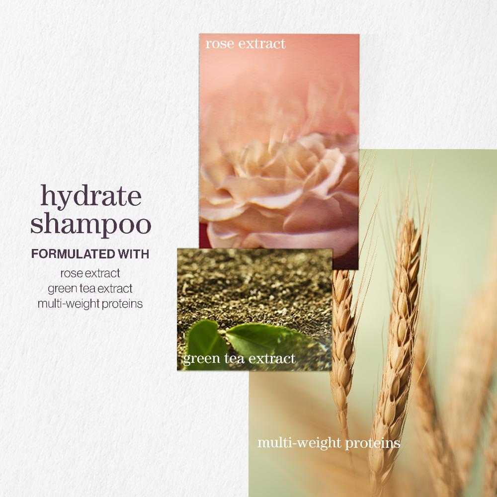 lookfantastic Pureology Hydrate Shampoo and Conditioner Moisturising Bundle for Dry Hair Sulphate Free for a Gentle Cleanse Super Sparpreis