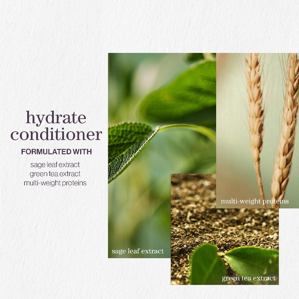 lookfantastic Pureology Hydrate Shampoo and Conditioner Moisturising Bundle for Dry Hair Sulphate Free for a Gentle Cleanse Super Sparpreis