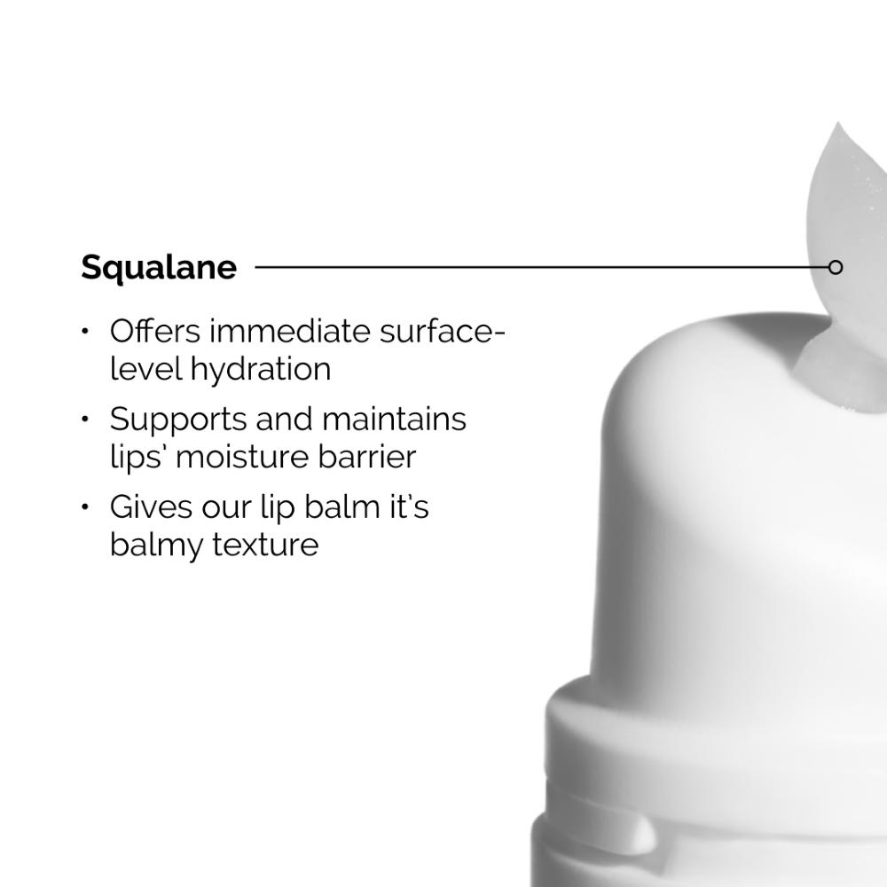 lookfantastic The Ordinary Squalane and Amino Acids Lip Balm 15ml Letzte 3 Tage