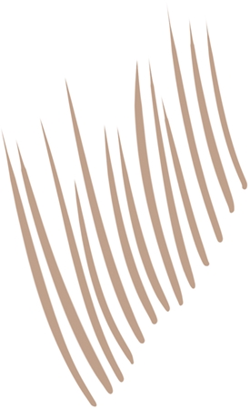 NYX Professional Makeup NYX Professional Makeup Lift&Snatch Brow Tint Pen Augenbrauenstift Wochenangebot