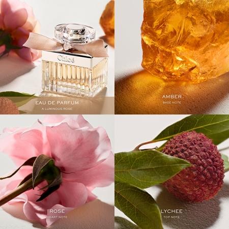 Chloé Chloé Chloé Bis zu 60% Rabatt