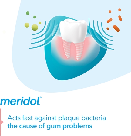 Meridol Meridol Gum Protection Zahnpasta unterstützt die Regeneration von gereiztem Zahnfleisch Angebote