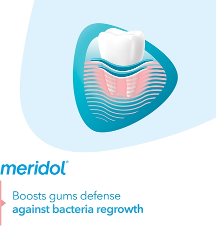 Meridol Meridol Gum Protection Zahnpasta unterstützt die Regeneration von gereiztem Zahnfleisch Angebote
